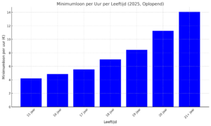 minimumloon 2025 per leeftijd